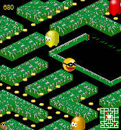3D Pacman (176x220)